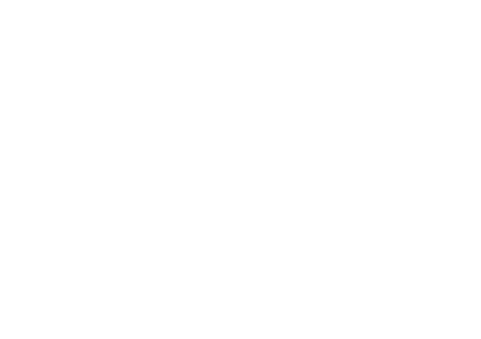 Spécificités des formats Spécificités des formats